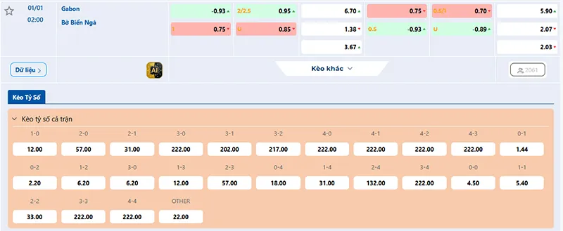 Thông tin tỷ lệ kèo Gabon vs Bờ Biển Ngà 02h00 ngày 01/01/2026